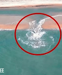 ں棬һҪעδ֣ܻͺһ