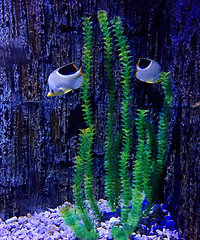 ҵһԽ봥ĵط޶ѧ֪ʶ