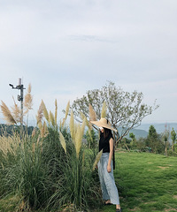 *FANFAN* ѡ 8½촩ʲô