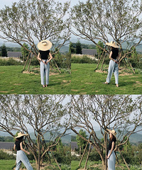 *FANFAN* ѡ 8½촩ʲô