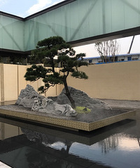 ʵؿ졪Ͼ̩.壨빫԰飩