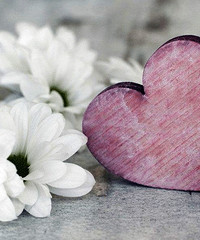 2018��Ϧ���˽ڽ��������˳�֤�ؿ�2018��Ϧ���˽ڽ��ò���