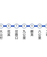 重庆奇葩事件你还知道哪些?