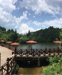 ܾģʽ޶׽֪зع鵽ͯˣʽ