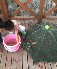 �ܾ��������ģʽ�����޶�׽֪�����з���ع鵽ͯ�����ˣ��ʽ