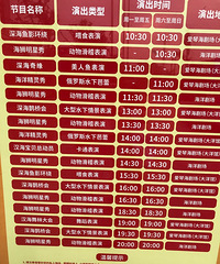 带1岁半妹妹去重庆汉海海洋公园
