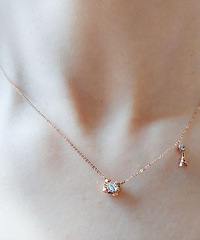 �Ź��񶼷Ų������ֲݵ���Ʒ