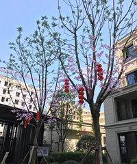 Ԫ111ƽװҵˮСװ