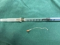 寄生虫在身上爬了3年