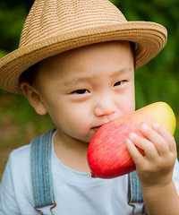 СС����ϱ��������+��ɹ�����ס�