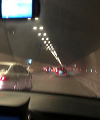 跟着管管一起打探金科天宸