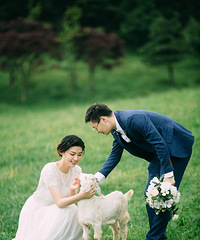 ϶һȥŮɽĻɴգȫ̳