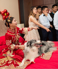 ��֤������������ͣ�磬���������꣬��������̨����³���