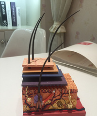 Ϊ�����촩Ӿ�¸��ÿ��������˱Ȼ�����ë��������˽�ܲ�λ������