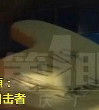 8岁女童小区游泳池内溺水身亡