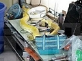 凌晨在客厅发现大蟒蛇