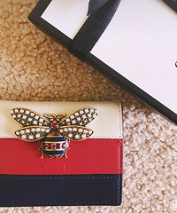 ϲgucciС۷ϵ Ӣ ۸Ҳˬ