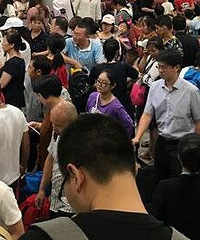 航班延误5个小时,赔了1000