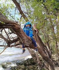 Ƚ˺ͽ׶԰ˣ԰Ƚ϶̫࣬