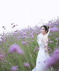 �������õĻ�ɴ����������д�棬��˾¥�̵����޲�����ʵ��̫��