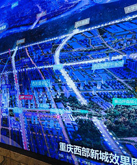 烈日当空跟着管管打探金科天宸,真爱啊~~~