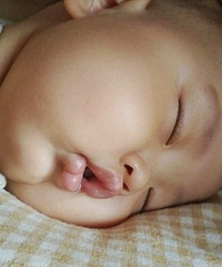 ޶˯ûУҼÿ˯Ҫֻ߲...