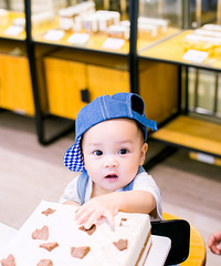 ɹɹ޶ӳڵգÿ궼һƬ