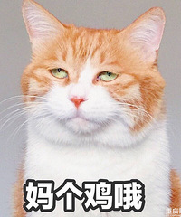 ��鵱��������˾������ô�죿ͬ���ǻ��벻�룿