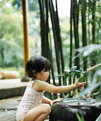 ��д���ռǡ�--- ���˹��鿥�������Ƭ.��ɭ.