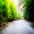 四面山景色原来这么美