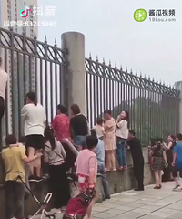 这部“年度大戏”,你可能会在各幼儿园小学门口亲历……