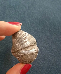 ����֪�������˵�Ǹ��ۻ�ʯ����ֵ����?