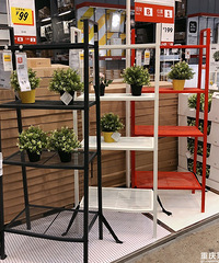 ֱ�����˼ң��߳Ա��߱߿����˼��������ˣ�