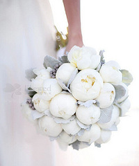 ��ĵ������ҩ���������ж�����������֪����