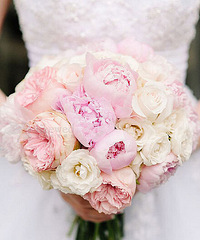 ��ĵ������ҩ���������ж�����������֪����