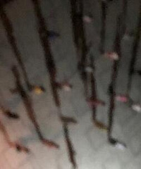 新房子刚装好,我却想把它卖掉了
