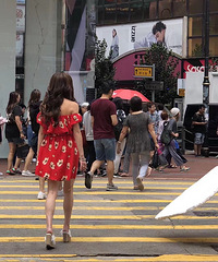 除了51岁的周慧敏,还有52岁的温碧霞……(实拍!!)