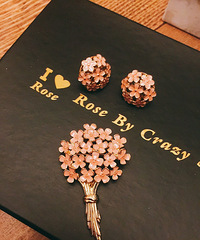 ���ǲ²���һ����Щʲô������