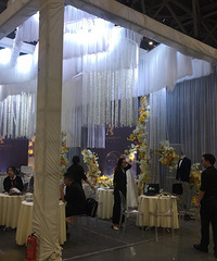 �鲩���ֳ�