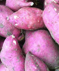 ޶ű㲻ãԺͨ㣿˼ʮ׼޶...