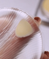 wanghongƼĵƷĺãЩ˷Ǯ