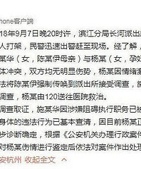 警方通报“wanghong殴打孕妇”最新进展