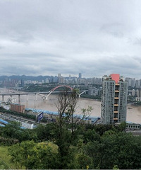 今天去看了万科鹅岭峰的豪宅,小姐姐介绍的很高逼格