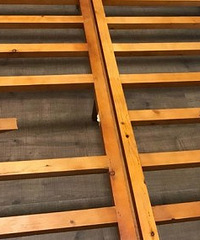 С޶ʺ˯ִ棿޶ϲڴϡĵϡѴˡ