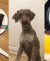 ҳǡֲС̳ЩֲнЦͣ