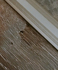 ľذ屻һˣô죿ôȣ