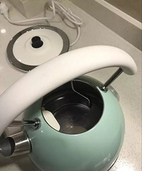 拔草了德龙家的烧水壶,我为颜值买了单