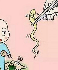 ޶ܳԴҩ޶ȥ۸ţ᲻гŶ