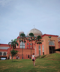 ˵�߾��ߵ�ɳ�������Σ�2��һֻ�Ŀ�����óԵ����ڶ������