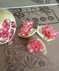 �óԶ�֭���������Ա�Ƥ������ʯ������